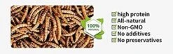 Kimoe 5LB 100% Natural Non-GMO Dried Mealworms-High-Protein For Birds, Chicken，Ducks -Zoo Shop 41siVX9mmOL