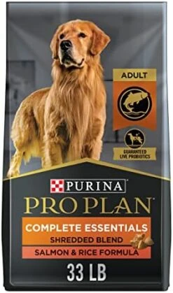 Purina Pro Plan High Protein Dog Food With Probiotics For Dogs, Shredded Blend Beef & Rice Formula - 6 Lb. Bag -Zoo Shop 41smWdD5r L. AC 2