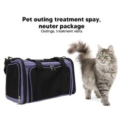 Pet Carrier Bag, Portable Shoulder Straps, Breathable Cat Carrier Bag For Treatment (S) -Zoo Shop 41t2qeCfXXL