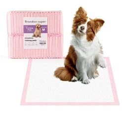 Super-Absorbent Leak-Proof Dog And Puppy Pet Training Pad, Housebreaking Puppy Pads Disposable (Medium 40PCS)
