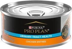 Purina Pro Plan Vital Systems Chicken Wet Cat Food Pate 4-in-1 Brain, Kidney, Digestive And Immune Formula - (24) 3 Oz. Cans -Zoo Shop 41tKIXTWAmL. AC