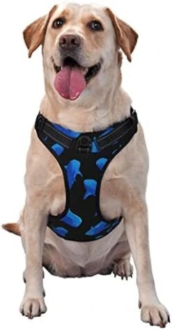 Dog Harness Leash Set Durable Oxford Breathable Reflective Puppy Harness Vest Spaghetti Italian Food For Walking Training Running, No Pull No Choke Pet Dog Harness -Zoo Shop 41tNyKkbSJL. AC