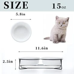GDCZ Ceramics Raised Cat Small Dog Bowls With Heighten Metal Stand For Pet Food And Water Dishes, 15 Ounces (White) -Zoo Shop 41tRP6EZQZL