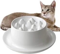 Raised Slow Feeder Cat Bowl, Fish Pool Design Elevated Slow Feeder Dog Bowls, Fun Interactive Bloat Stop Cat Slow Feeder Dry Food, Reduces Neck Burden Slow Down Eating Anti Vomiting Non-Slip No Spill -Zoo Shop 41tXdekdfkL. AC