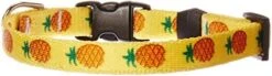 Yellow Dog Design Pineapples Blue Dog Collar, Large-1" Wide Fits Neck Sizes 18 To 28", (PNBL106) -Zoo Shop 41tfdi1nzFL. AC