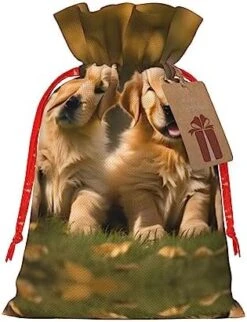 Golden Retriever Dogs Puppies Pets Drawstring Gift Bag,Holiday Gift Giving, Gifts Decorations For Christmas Party Supplies 15 Golden Retriever Dogs Puppies Pets Drawstring Gift Bag,Holiday Gift Giving, Gifts Decorations For Christmas Party Supplies -Zoo Shop 41uA6oYWYL. AC