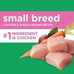 IAMS Small & Toy Breed Adult Dry Dog Food For Small Dogs With Real Chicken, 15 Lb. Bag -Zoo Shop 41uIcj1JnqL