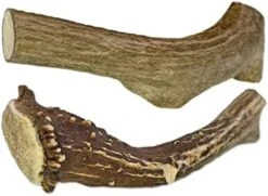 WhiteTail Naturals | 3 Pack Medium | Deer Antler Dog Chews | All Natural Organic Antlers For Dogs | Long Lasting Antler Bones For Dogs | Durable Antler Dog Toy -Zoo Shop 41uOBI9OSjL. AC