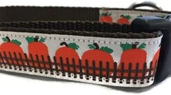Autumn Dog Collar, Caninedesign, Fall, 1 Inch Wide, Adjustable, Nylon, Medium And Large (Fox, Large 15-22") -Zoo Shop 41uTQB1ovJL. AC