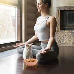 Dog Food Container 1Pc Adorable Cat Feeding Bowl Versatile Ceramic Pet Feeder Bowl With Rack Cat Food Dispenser 14 Dog Food Container 1Pc Adorable Cat Feeding Bowl Versatile Ceramic Pet Feeder Bowl With Rack Cat Food Dispenser -Zoo Shop 41uc6B05ZSL