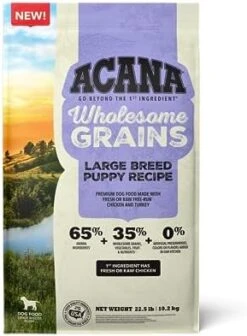 ACANA Wholesome Grains Dry Dog Food, Puppy Recipe, Real Chicken, Eggs And Turkey Dog Food Recipe, 11.5lb -Zoo Shop 41udNM68FYL. AC