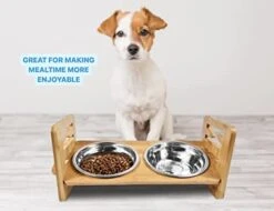 Elevated Dog Bowls With 2 Stainless Steel Dishes For Small Size Dogs & Cats- 6 Adjustable Heights Raised Bamboo Pet Slanted Feeding Stand-Large Food & Water Bowl Set- 15 ° Tilted Feeder For Cat, Puppy -Zoo Shop 41ujwqpteXL