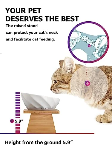 Y YHY Cat Bowl Tilted, Raised Cat Food Water Bowl 6-Inch Ceramic Cat Bowl Elevated Cat Dish With Non-Slip Silicone Circle And Removable Wooden Stands For Indoor Cats, Small Dog 6 Y YHY Cat Bowl Tilted, Raised Cat Food Water Bowl 6-Inch Ceramic Cat Bowl Elevated Cat Dish With Non-Slip Silicone Circle And Removable Wooden Stands For Indoor Cats, Small Dog - Image 4