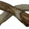 WhiteTail Naturals | Deer Antlers For Large Dogs (2 Pack- Jumbo XXL) All Natural Antler Dog Chew | Naturally Shed, Long Lasting Chew Bone, Made In USA 1 WhiteTail Naturals | Deer Antlers For Large Dogs (2 Pack- Jumbo XXL) All Natural Antler Dog Chew | Naturally Shed, Long Lasting Chew Bone, Made In USA -Zoo Shop 41utcp1TSbL
