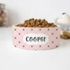 GENERIC Pink Pattern Pet Bowl, Dog Name Bowl, Cat Name Bowl, Gift For Pets, Ceramic Bowl Available In Two Sizes -Zoo Shop 41uykz7Ux9L