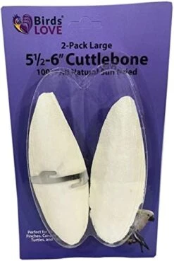 Birds LOVE Natural Cuttlebone – Premium Calcium & Trace Mineral Supplement For Avian Species, Tortoises, And Snails – Pure Cuttlebone For Parakeets, Cockatiels, And All Birds | 12 Pack Of 5 .5-6" -Zoo Shop 41uztump9oL. AC