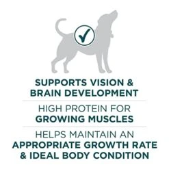 Purina ONE Plus Large Breed Puppy Food Dry Formula - 31.1 Lb. Bag 9 Purina ONE Plus Large Breed Puppy Food Dry Formula - 31.1 Lb. Bag -Zoo Shop 41vK2wZHvVL