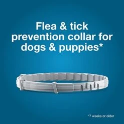 Seresto Small Dog Vet-Recommended Flea & Tick Treatment & Prevention Collar For Dogs Under 18 Lbs. | 8 Months Protection -Zoo Shop 41vKcrB0ECL