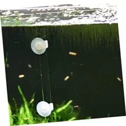 NOGRAX 1 Set Fish Tank Feeding Tube Clear Glass Clear Tray Auto Feeder Fish Feeder Tube Water Food Dish Acrylic Shrimp Feeding Tube Fish Feeding Supply Feeding Tube With Sucker Automatic Feeder (Colo -Zoo Shop 41vQoRQahCL