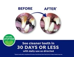 Naturel Promise Fresh Dental Clean Teeth Gel, 4 Fl Oz - Easy To Use Pet Dental Gel That Helps Remove Plaque, Tartar, And Freshen Breath-No Brushing Pet Oral Care For Dog Dental Care, Cat Dental Care 12 Naturel Promise Fresh Dental Clean Teeth Gel, 4 Fl Oz - Easy To Use Pet Dental Gel That Helps Remove Plaque, Tartar, And Freshen Breath-No Brushing Pet Oral Care For Dog Dental Care, Cat Dental Care -Zoo Shop 41vl6aUYxDL