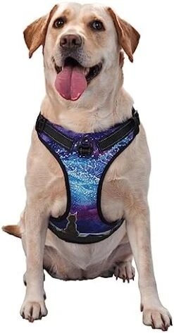 Cartoon Vegetable Food No Pull Dog Harness For Large Dogs No Pull Dog Leash, Adjustable Large Dog Harness Reflective Dog Vest Harness, Easy Walk Dog Harness For Medium Dogs No Pull Pet Harness -Zoo Shop 41vuNHqgltL. AC 1