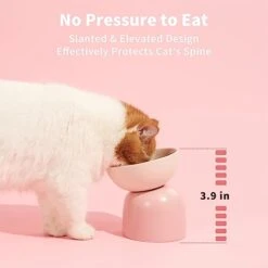 MS!MAKE SURE Cat Bowl, Elevated/Raised Ceramic Cat Food Bowl, Protects Spine, Relieves Whisker Fatigue, Superb Anti-Bacterial, Perfect For Indoor Cats (Green) -Zoo Shop 41w1c1EY7pL