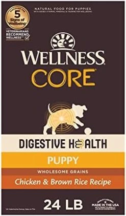Wellness CORE Digestive Health Dry Senior Food With Wholesome Grains, Advanced Age For Dogs Over 7-Years Old, For Dogs With Sensitive Stomachs, Made In USA With Real Chicken (Senior, 24-Pound Bag) -Zoo Shop 41wCfScbywL. AC