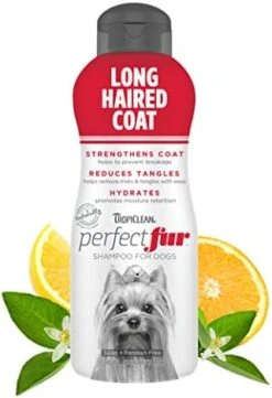 TropiClean Perfect Fur Dog Shampoo For Shedding Control For All Breeds With A Short Double Coat, 16 Ounce -Zoo Shop 41wH43qLKiL. AC