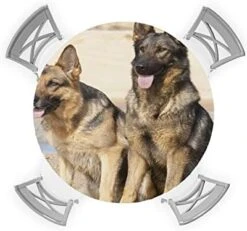 Aomike Round Fitted Tablecloth, Modern Black Yellow Pet Two Dogs Yellow Desert Elastic Edge Tablecloth Waterproof Wipeable Table Cover For Dinning Fits Tables Up To 55" - 60" -Zoo Shop 41wvhA32srL. AC 2