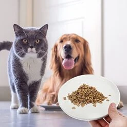 POPETPOP Puppy Water Feeder Porcelain Cat Bowl Ceramic Shallow Cat Dish, Cat Food Bowl, Pet Bowl Non Slip Pet Plate For Kitten Puppy And (White) Flat Cat Dish Kitten Ceramic Bowl -Zoo Shop 41x7pqLk6RS