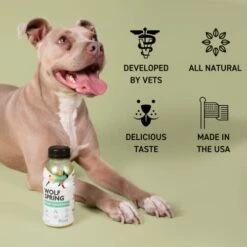 Wolf Spring Weight Management Food Topper And Toy Set: Optimal Wellness For Your Pup - Promote Weight Control, Mental Stimulation, And Active Play For A Healthy, Happy Dog! 12 Wolf Spring Weight Management Food Topper And Toy Set: Optimal Wellness For Your Pup - Promote Weight Control, Mental Stimulation, And Active Play For A Healthy, Happy Dog! -Zoo Shop 41xE0IJxXiL