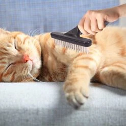 GENERIC Pet Grooming Brush Shedding And Dematting Undercoat Rake Comb For Dogs And Cats Extra Wide Blue Pet Supplies For Small Dogs Bed (Blue, One Size) -Zoo Shop 41xTKeTfZTL