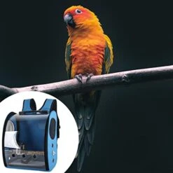 MagiDeal Portable Bird Backpack Retractable Clear Non- Bottom Cushion Pet Knapsack Shoulder Bag Travel Parrot Cage Carrier, Blue -Zoo Shop 41xyQmySOhL
