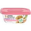 Purina Beneful Gravy, High Protein Wet Dog Food, Chopped Blends With Salmon - (8) 10 Oz. Tubs -Zoo Shop 41y6O1Pm4SS