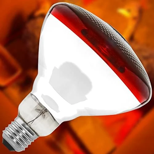 Hypool Heat Lamp Red Infrared Light Bulbs PAR38 250 Watts Fits E26 E27 Base 250W As Chickens Brooder Heat Light For Multi-Application Scenario(250W) 7 Hypool Heat Lamp Red Infrared Light Bulbs PAR38 250 Watts Fits E26 E27 Base 250W As Chickens Brooder Heat Light For Multi-Application Scenario(250W) - Image 5