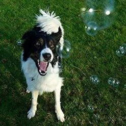 Roasted Chicken And Peanut Butter Scented Bubbles - 2 Pack - 8 Oz Each - 100% Non Toxic And Tear Free -Zoo Shop 41yVRqQ1hxS