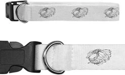 Azeeda Small 'Seafood Selection' Dog Collar (PR00038585) -Zoo Shop 41yYoOxIqWL. AC