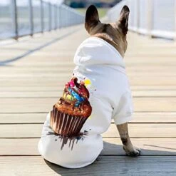 GENERIC Cupcake Dog Hoodie - Food Dog Coat - Printed Dog Clothing - Black, S -Zoo Shop 41yZqJMgydL