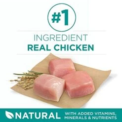 Purina One Plus Digestive Health Formula Dry Dog Food Natural With Added Vitamins, Minerals And Nutrients - 16.5 Lb. Bag 17 Purina One Plus Digestive Health Formula Dry Dog Food Natural With Added Vitamins, Minerals And Nutrients - 16.5 Lb. Bag -Zoo Shop 41ynCYuwmCL