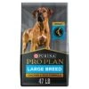 Purina Pro Plan High Protein, Digestive Health Large Breed Dry Dog Food, Chicken And Rice Formula - 47 Lb. Bag -Zoo Shop 41z5Tw1pJoL