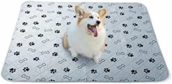PetGoodie Washable Pee Pads For Dogs | Reusable, Non-Slip & Ultra Absorbent 100% Waterproof Crate Mat For Dogs & Cats | Pet Training Pad For Furniture, Floor & Car Seat Protection (39x35 Inch | 1 Pc) -Zoo Shop 41z8C7gtKwL. AC