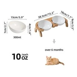 Havniva Ceramics Cat Bowl Adjustable Tilted Cat Food Bowl Kitty Bowl Protect Cervical Spine Raised Cat Bowl Cat Water Bowl Pet Supplies Elevated Dog Food Bowl Cat Double Bowl Cat Dish (Double, White) -Zoo Shop 41zOPxdzzAL