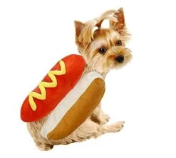 Hot Dog Pet Costumes Halloween Costumes, Fun Food Halloween Dog Cosplay Halloween Christmas Costumes Dog Clothes Party Costumes For Small To Medium Dogs And Cats (Small) -Zoo Shop 41zPGeIpnlL