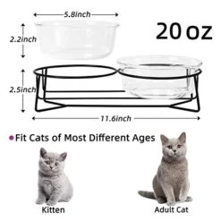 Double Glass Raised Cat Or Small Dog Bowls With Metal Stand For Pet Food And Water Dishes , 20 Ounces -Zoo Shop 41zUFzbf0YL