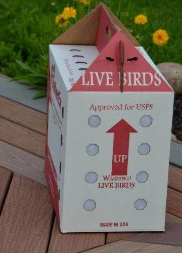 FeatherEx 3 Pack Premier Shipping Boxes 5 FeatherEx 3 Pack Premier Shipping Boxes - Image 3