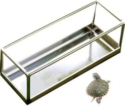 La La Pet® Stainless Steel Reptile Turtle Food Water Dispenser Feeder Food Bowl Feeding Dish For Lizard Tortoise Chameleon Round L -Zoo Shop 41zkH9qme5L. AC