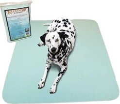 Kluein Pet Training Pads For Dogs | Non-Slip Absorbent | Washable Pads For Dogs Cat Rabbit Guinea Pig Small Pets, Travel Carrier, Dog Crate Mat, Food Mat |2-Pack XL 36x41in Aqua