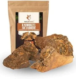 Wildfang® | Chewing Root Made From Tree Heather For Dogs, Dental Care & Masticatory Muscle Training, Natural Chew Toy…… -Zoo Shop 41ztuXRBASL. AC