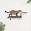 A.FATI Cat Wall Shelf, Wooden Cat Feeding Shelf With 2 Raised Bowls, 15° Tilted Feeding Position, Cat Shelves And Perches For Eating, Playing, Sleeping & Lounging