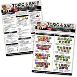 TLC Safety By Design Premium 8.5” X 11” Magnet Toxic Harmful And Safe Foods For Pets Fridge Safety Dogs Cats Poison Emergency Large Format Veterinarian Approved (Quantity 1) -Zoo Shop 51 4rMwkNDL. AC